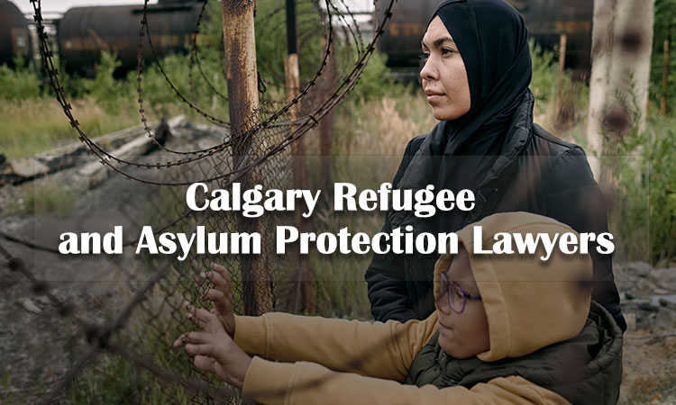 難民和庇護保護律師