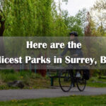 Here are the Nicest Parks in Surrey, BC