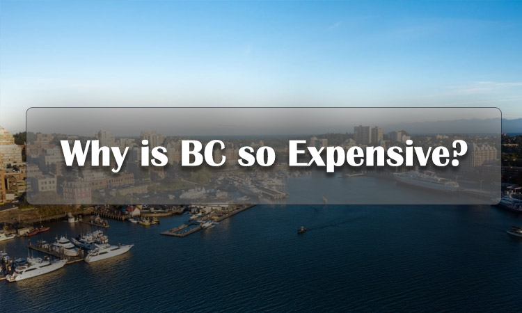 BC(브리티시 컬럼비아)가 왜 그렇게 비싼가요?