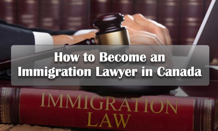 How to Become an Immigration Lawyer in Canada?